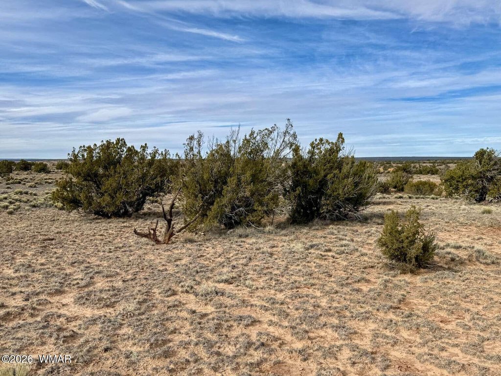 Picture 25