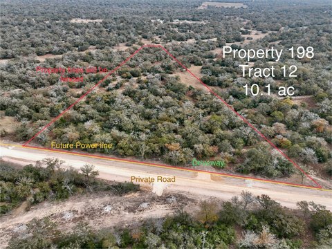 Untouched Wooded Land Near San Antonio