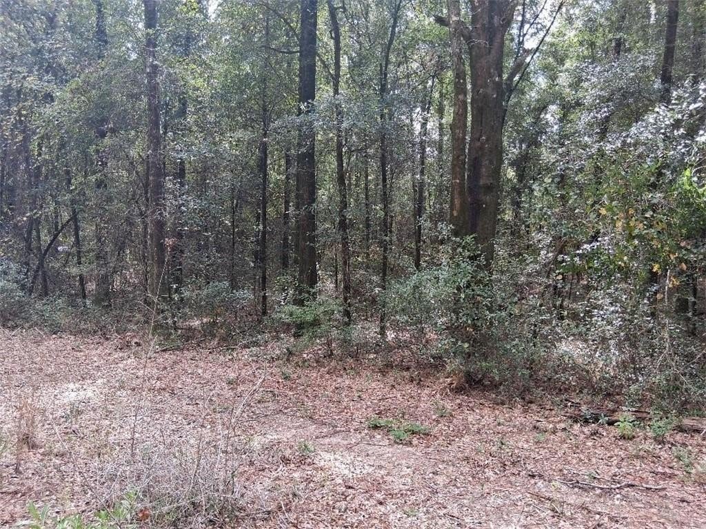 Picture 6