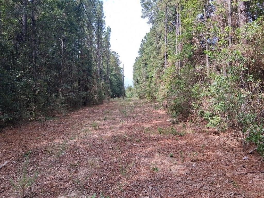 Picture 5