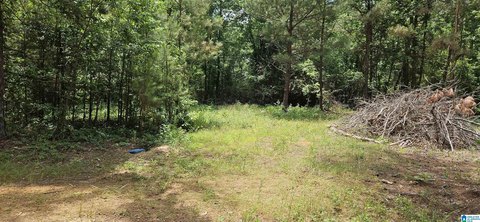 Cleared Land in Maplesville, AL