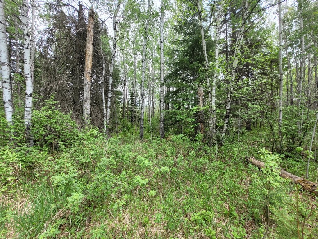 Picture 15