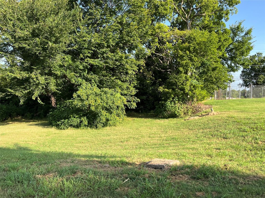 Picture 5