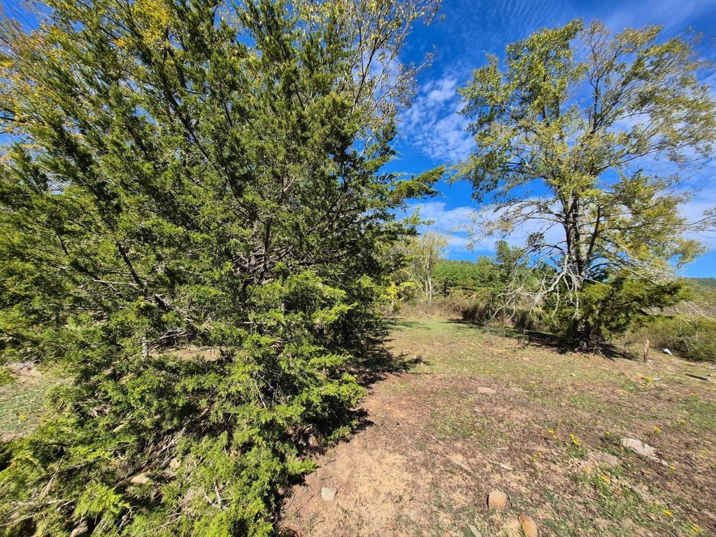Picture 25