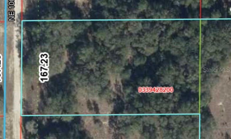 Picture 3