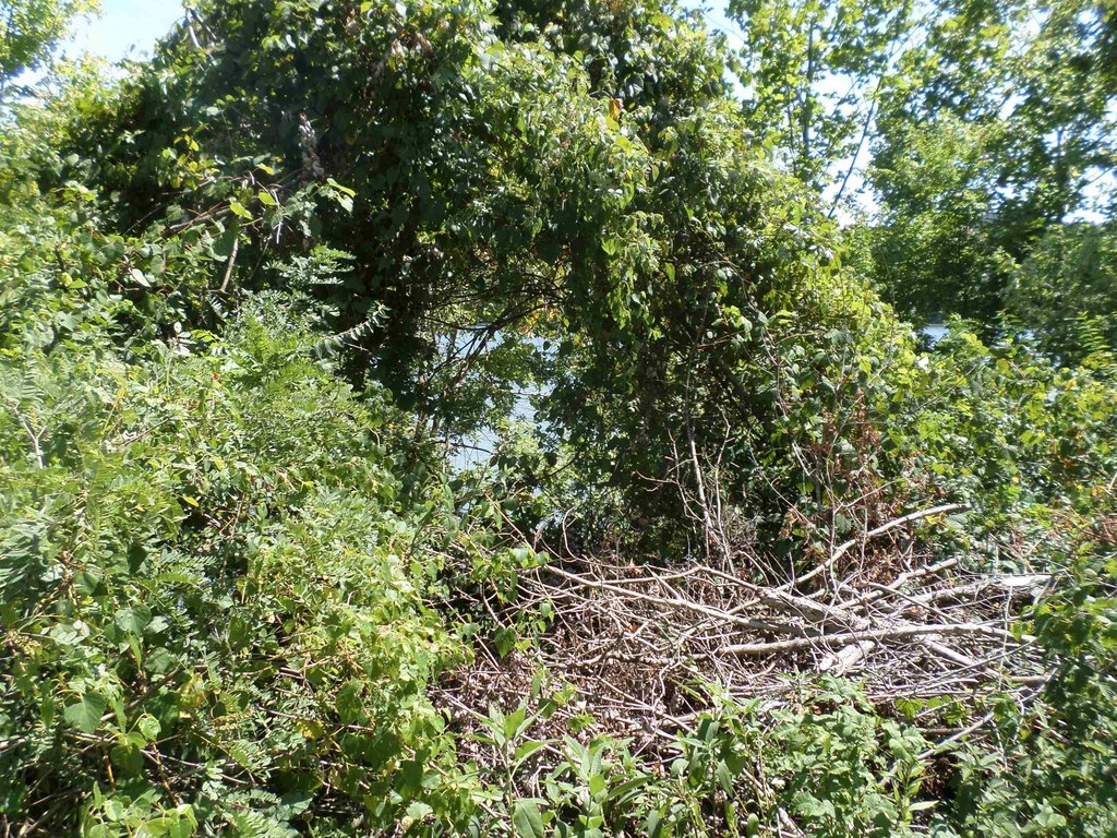 Picture 16