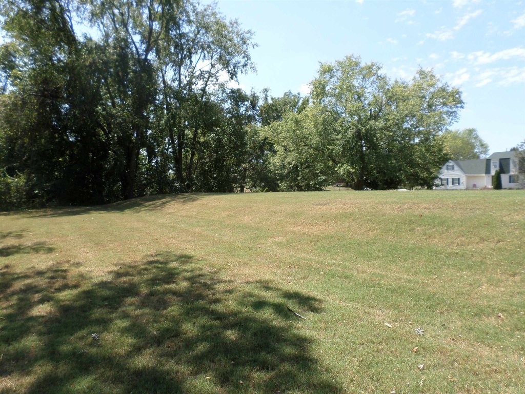 Picture 10