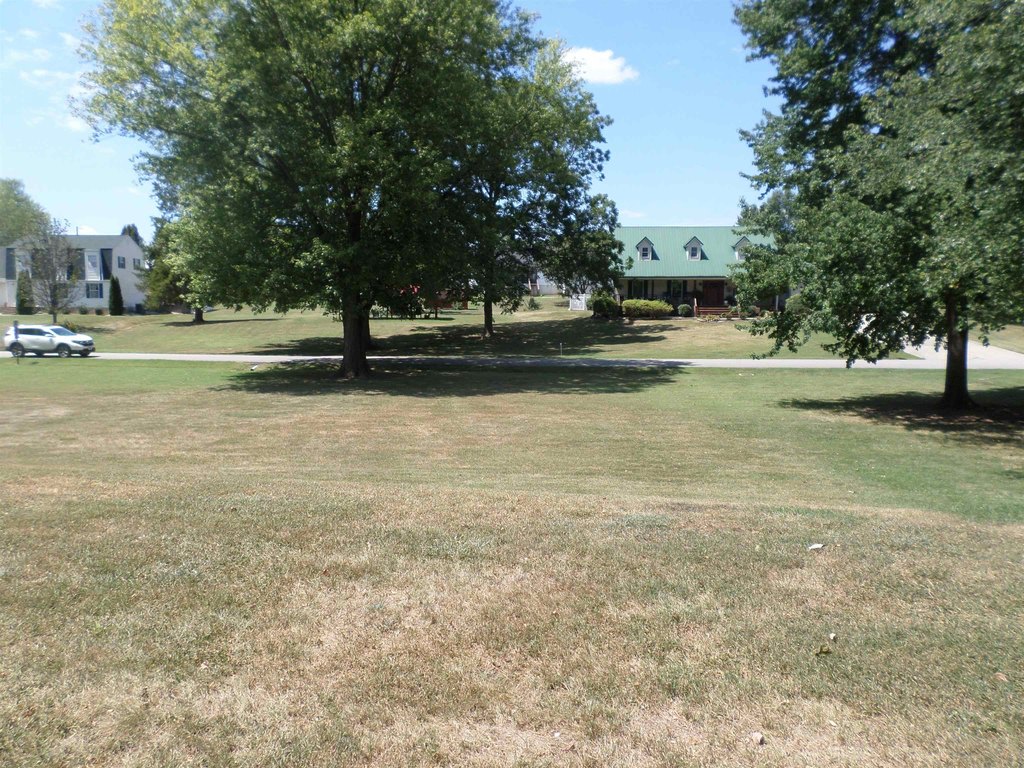 Picture 8