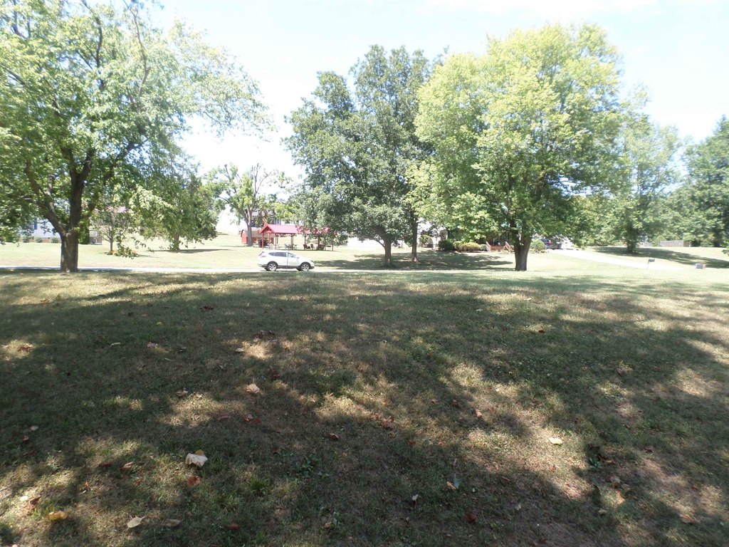 Picture 12
