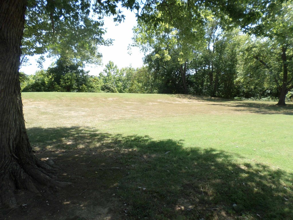 Picture 6