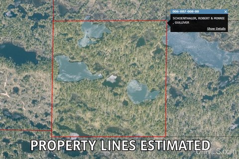 Untouched Acreage Near Lake Michigan