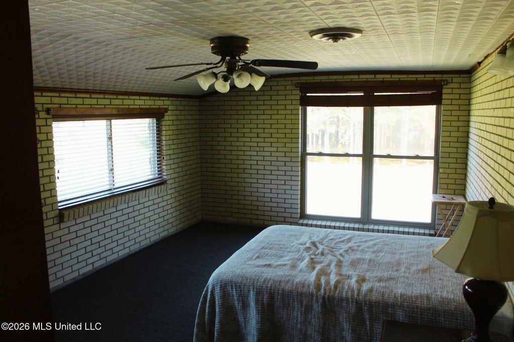 Picture 42