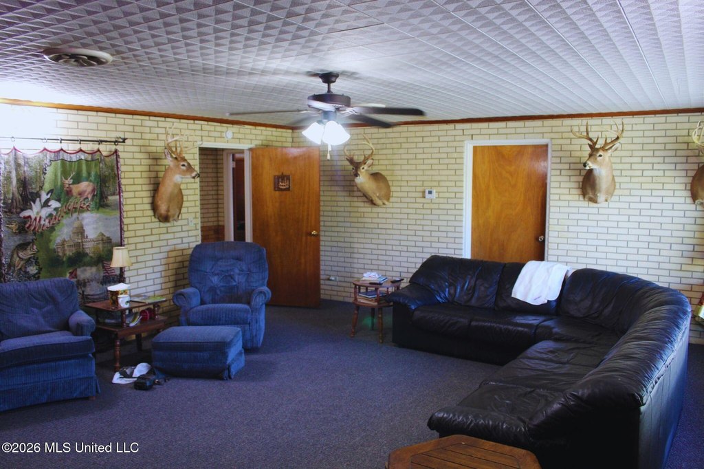 Picture 44