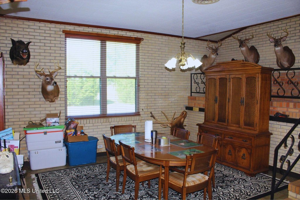 Picture 41