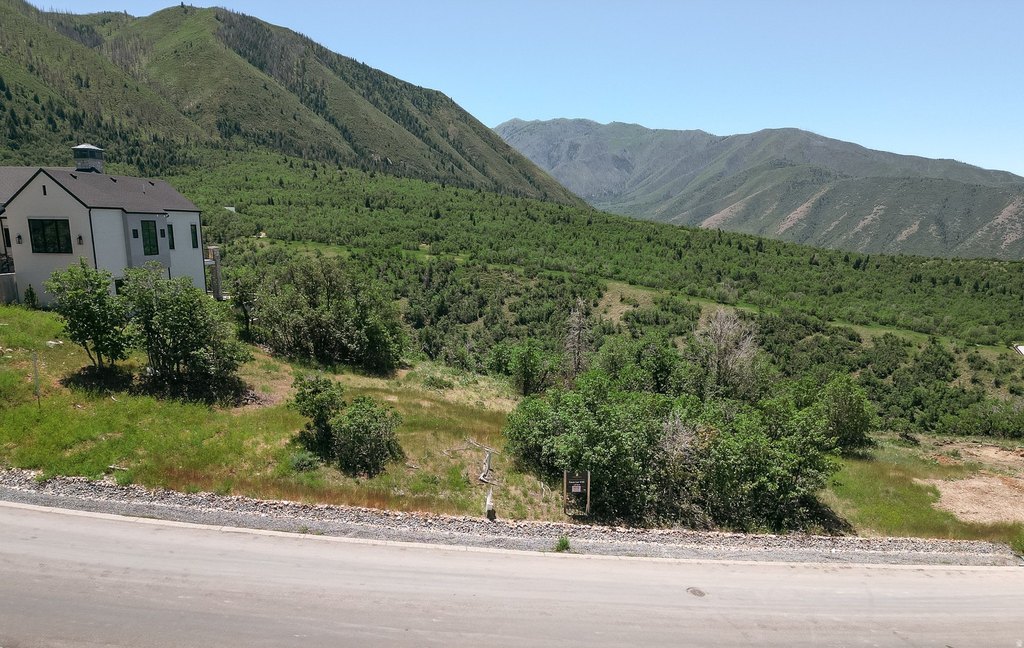 Picture 22