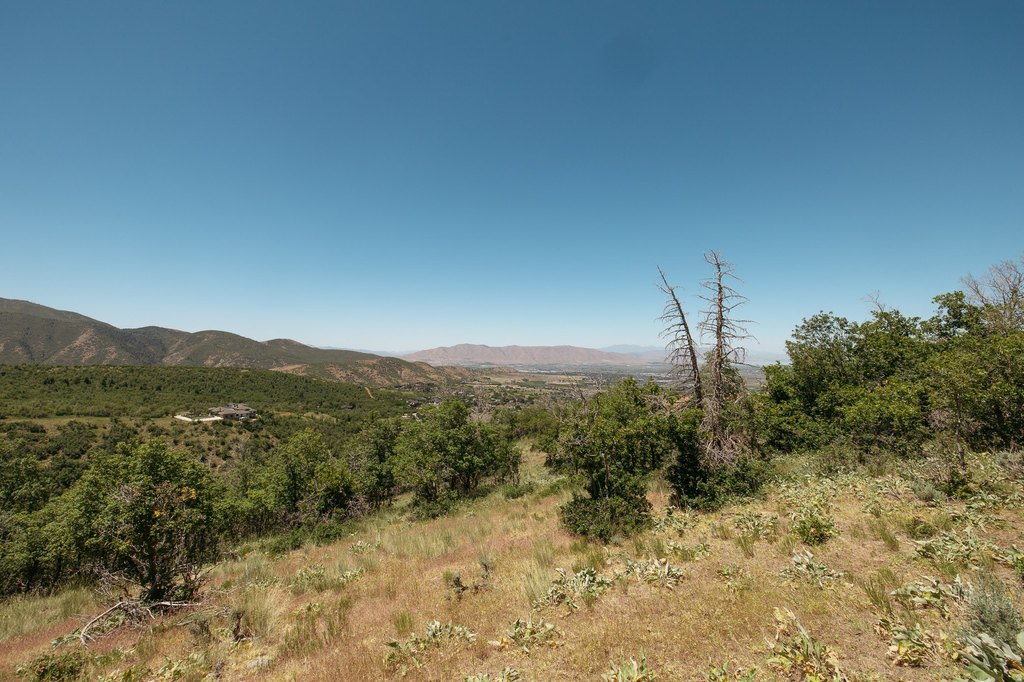 Picture 11