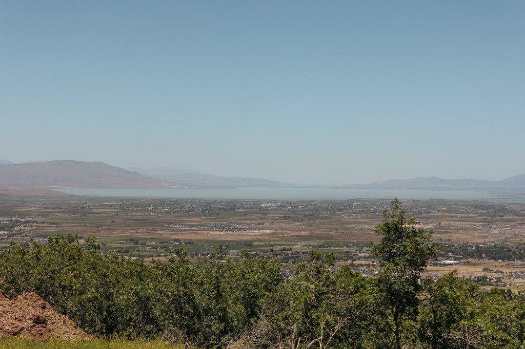 Picture 20