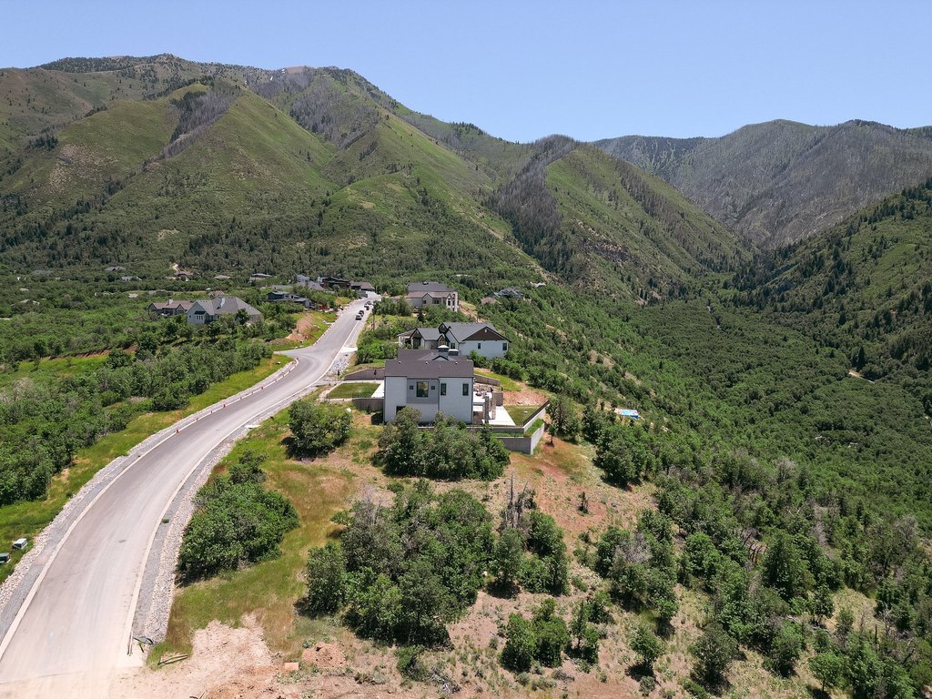 Picture 25