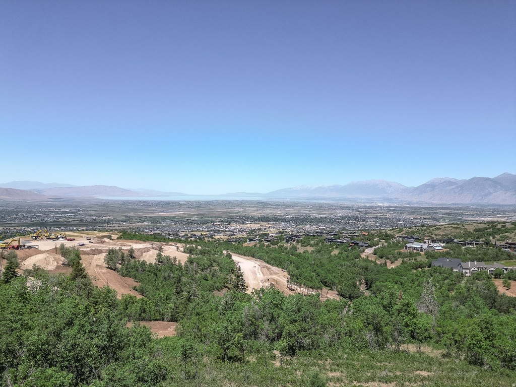 Picture 31