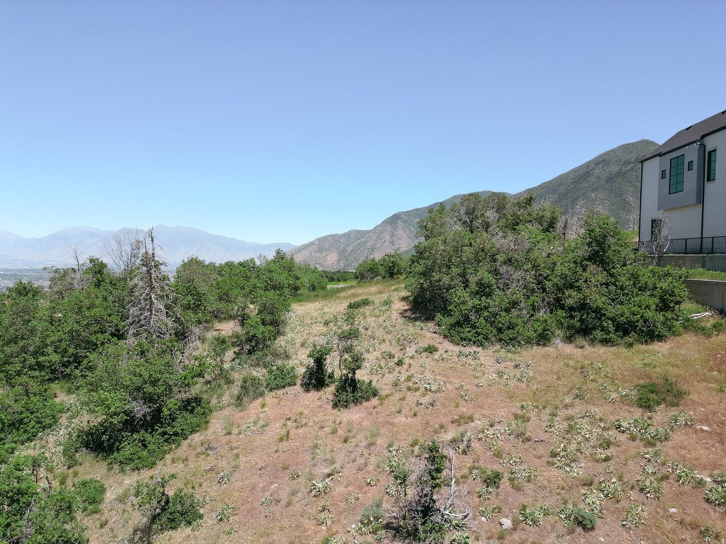 Picture 30