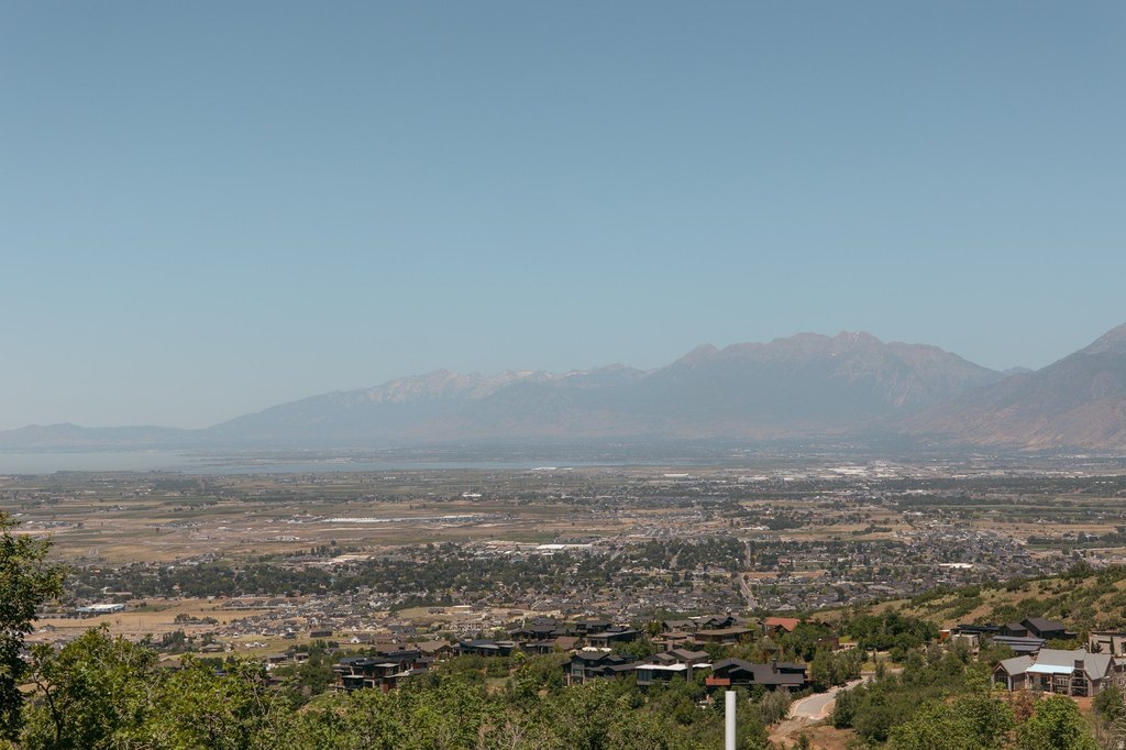 Picture 19