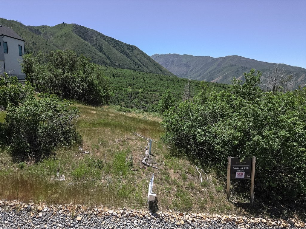 Picture 33