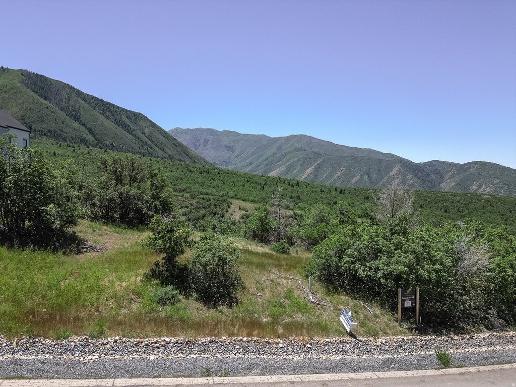 Picture 32