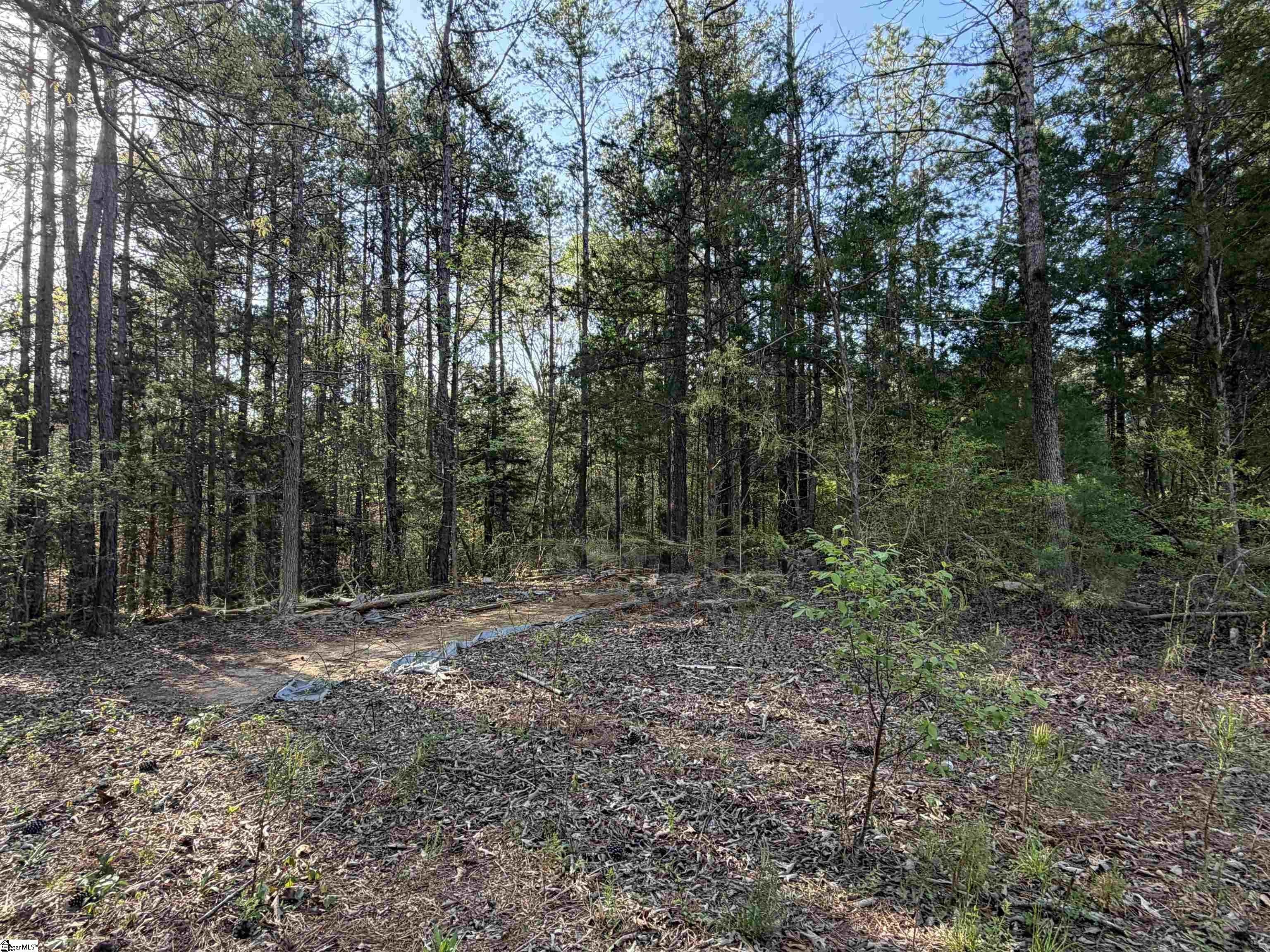 Two Acres in Gray Court