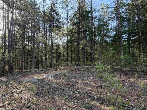 Two Acres in Gray Court