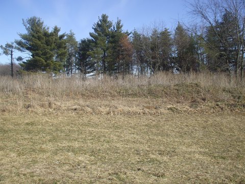 Residential Land in Kalamazoo, MI