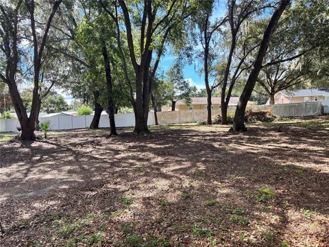 Land, OCKLAWAHA, FL