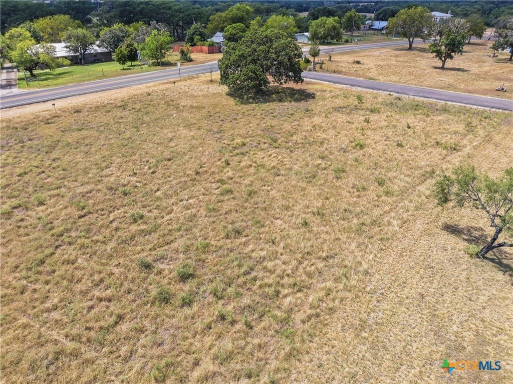 Picture 10