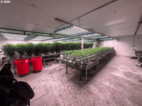 Turnkey Cannabis Farm in Aurora