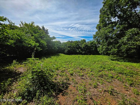 LAND - Knoxville, TN