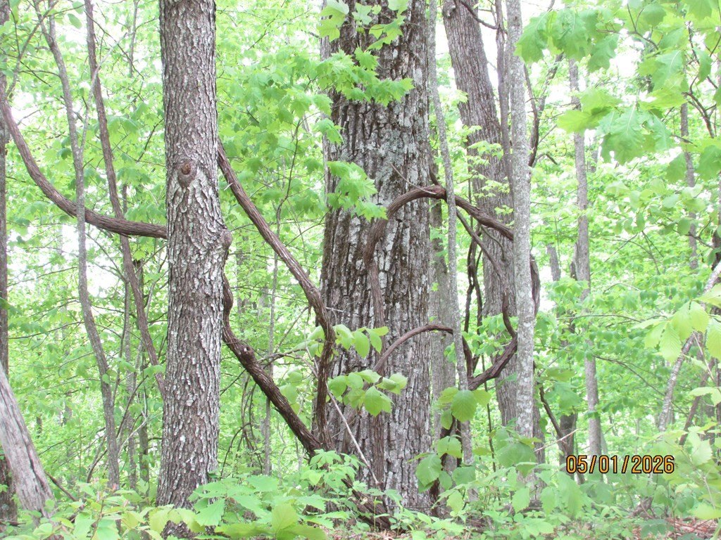 Picture 4