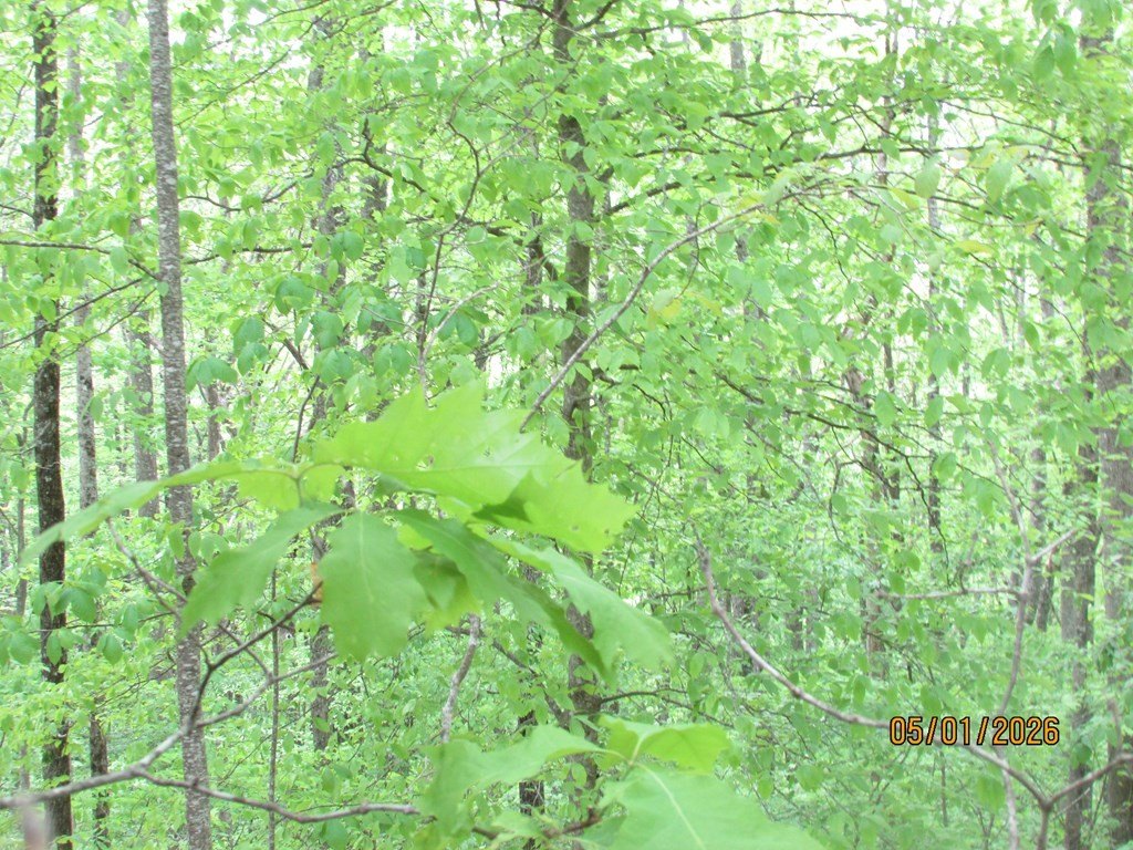 Picture 7