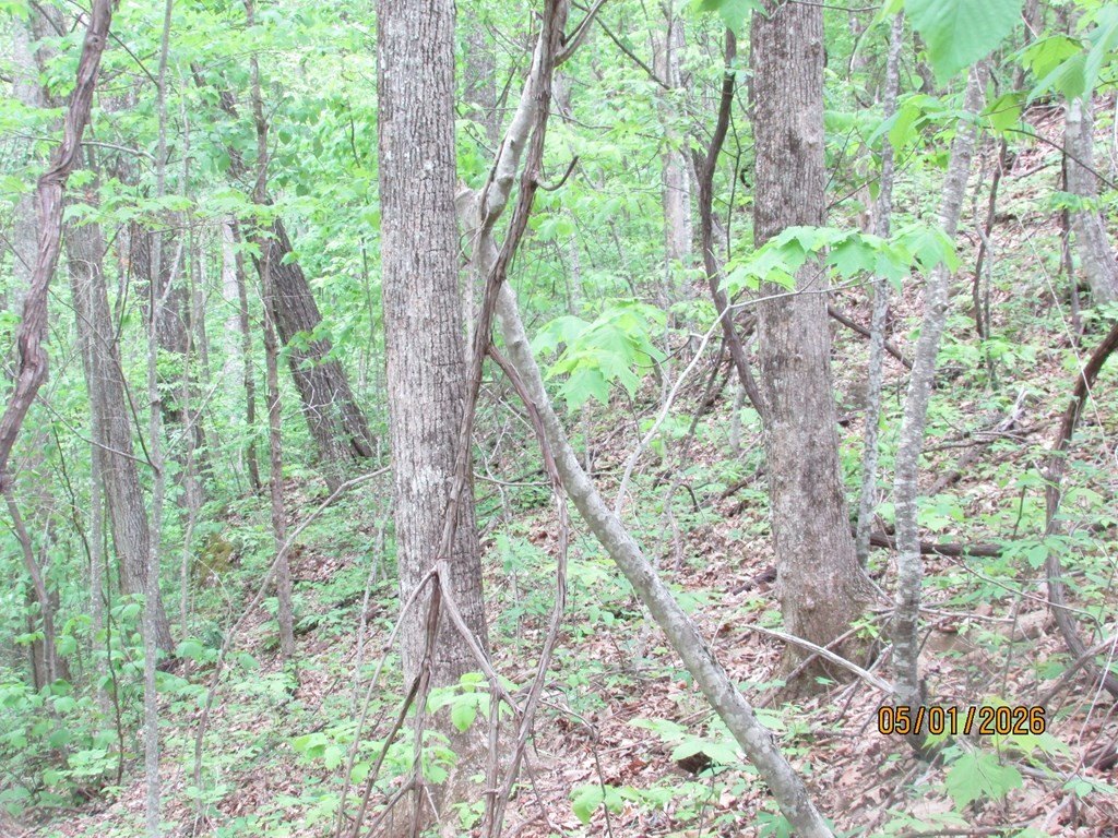 Picture 9