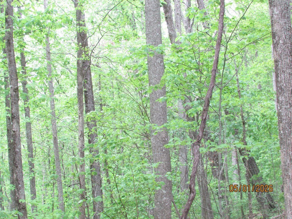 Picture 8