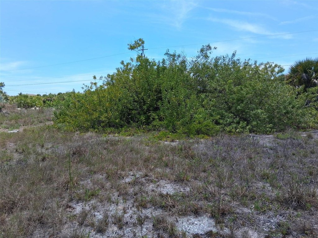 Picture 5