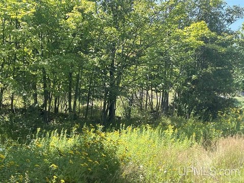 Land in Marquette, MI
