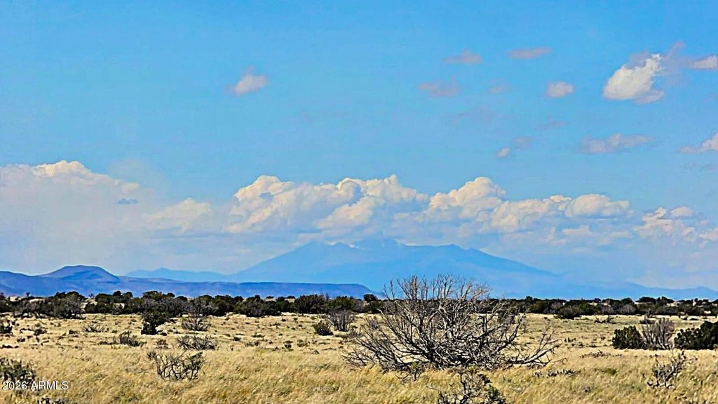 Picture 20