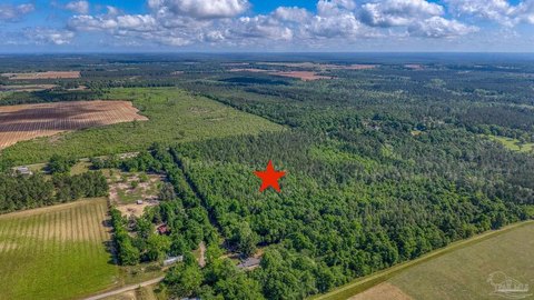40 Acres in Milton, Florida