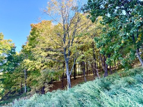 Lots and Land, Franklin Boro, NJ