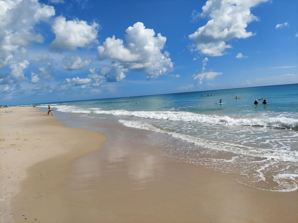 Picture 5
