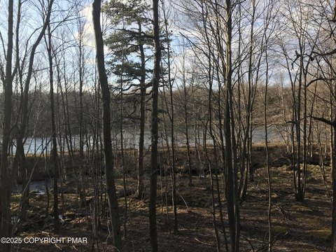 Albrightsville Land with Lake View