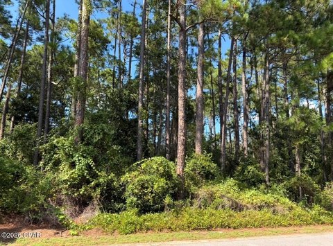 Land, Santa Rosa Beach, FL