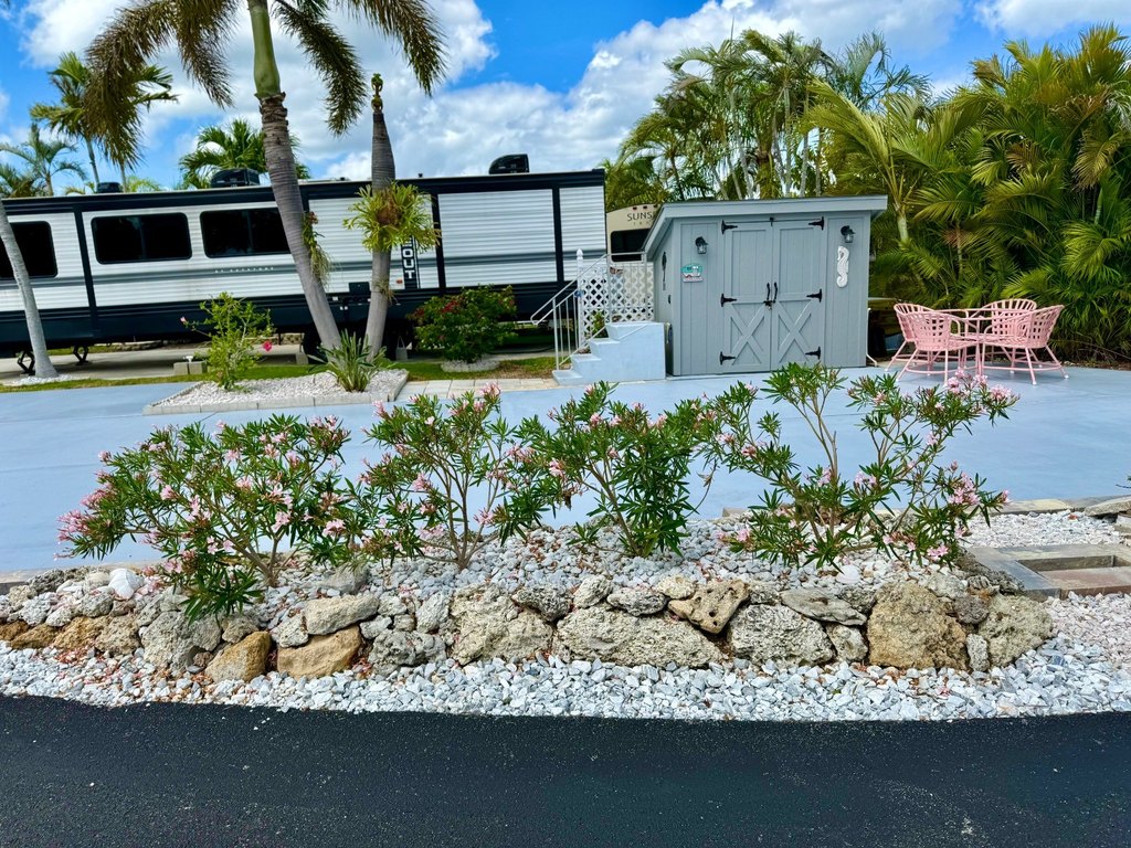 Picture 6