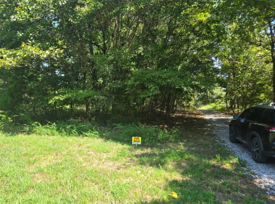 Picture 2