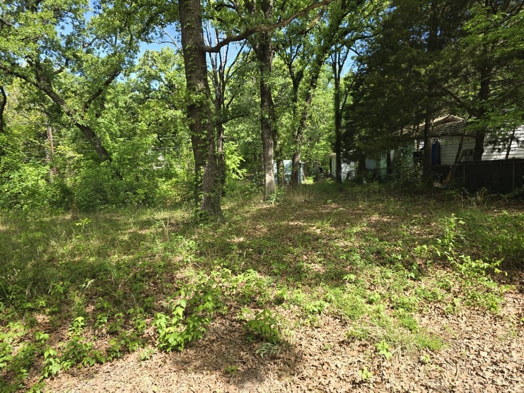 Picture 13