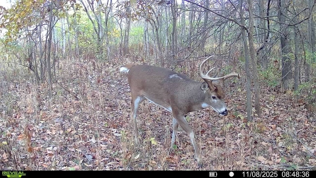 Picture 15